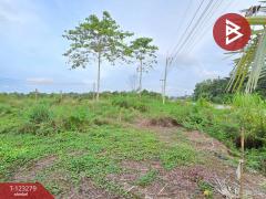 ขายที่ดิน เนื้อที่ 1 งาน 65.8 ตร.วา ใกล้ตลาดสดท่าใหม่ จันทบุรี-202510031305211759471521917.jpg