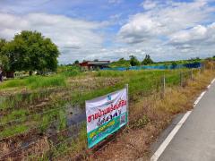 ขาย ที่ดินเปล่า พร้อมบ้านชั้นเดียว เนื้อที่ 4-0-14 ไร่ ( 4 ไร่ 14 ตร.ว.) โฉนดครุฑแดง ใกล้ถนนใหญ่ ในซอยข้างศาลปกครอง ต.โพธิ์พระยา อ.เมือง จ.สุพรรณบุรี ติดถนนสาธารณะ เดินทางสะดวก ใกล้ชุมชน-202510031347331759474053152.jpg