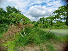 ขาย ที่ดินเปล่า พร้อมบ้านชั้นเดียว เนื้อที่ 4-0-14 ไร่ ( 4 ไร่ 14 ตร.ว.) โฉนดครุฑแดง ใกล้ถนนใหญ่ ในซอยข้างศาลปกครอง ต.โพธิ์พระยา อ.เมือง จ.สุพรรณบุรี ติดถนนสาธารณะ เดินทางสะดวก ใกล้ชุมชน-202510031347381759474058789.jpg