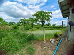 ขาย ที่ดินเปล่า พร้อมบ้านชั้นเดียว เนื้อที่ 4-0-14 ไร่ ( 4 ไร่ 14 ตร.ว.) โฉนดครุฑแดง ใกล้ถนนใหญ่ ในซอยข้างศาลปกครอง ต.โพธิ์พระยา อ.เมือง จ.สุพรรณบุรี ติดถนนสาธารณะ เดินทางสะดวก ใกล้ชุมชน-202510031347391759474059722.jpg