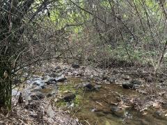 ขายที่ดิน 42 ไร่ วังดง กาญจนบุรี ติดลำห้วย วิวเขาล้อมรอบ บรรยากาศธรรมชาติ-202510031358581759474738637.jpg