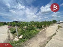 ขายที่ดินเปล่า ในหมู่บ้านมายโฮมทาวน์ เนื้อที่ 59.4 ตร.วา ดอนยายหอม นครปฐม-202510031417421759475862185.jpg