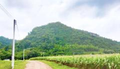 ขายที่ดินเปล่า ทำเลดี ราคาถูก อำเภอแก่งคอย จังหวัดสระบุรี  ไร่ละ 550000-202510031453071759477987834.jpg