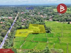 ขายที่ดิน เนื้อที่ 4 ไร่ ลับแล อุตรดิตถ์