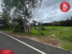 ขายที่ดิน เนื้อที่ 6 ไร่ 2 งาน 21 ตร.วา หนองมะแซว อำนาจเจริญ