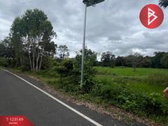 ขายที่ดิน เนื้อที่ 6 ไร่ 2 งาน 21 ตร.วา หนองมะแซว อำนาจเจริญ-202510031522101759479730828.jpg