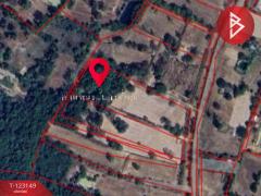 ขายที่ดิน เนื้อที่ 6 ไร่ 2 งาน 21 ตร.วา หนองมะแซว อำนาจเจริญ-202510031522111759479731313.jpg