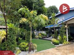 ขาย/เช่าบ้านเดี่ยว เนื้อที่ 1 งาน 29 ตารางวา ประเวศ กรุงเทพมหานคร-202510031522481759479768111.jpg