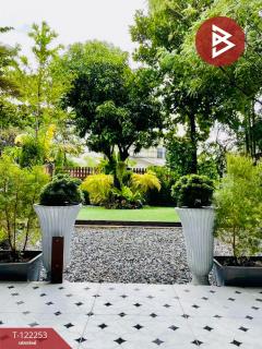 ขาย/เช่าบ้านเดี่ยว เนื้อที่ 1 งาน 29 ตารางวา ประเวศ กรุงเทพมหานคร-202510031522491759479769155.jpg