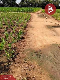 ขายที่ดินเปล่า เนื้อที่ 2 ไร่ 3 งาน 78.7 ตารางวา อ.ท่ามะกา กาญจนบุรี-202510031524531759479893665.jpg