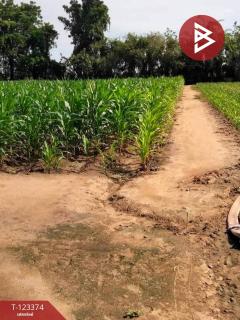 ขายที่ดินเปล่า เนื้อที่ 2 ไร่ 3 งาน 78.7 ตารางวา อ.ท่ามะกา กาญจนบุรี-202510031524541759479894171.jpg