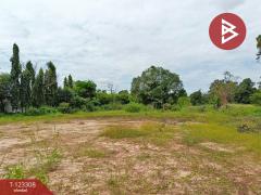 ขายที่ดิน เนื้อที่ 2 ไร่ 1 งาน 66 ตร.วา ธวัชบุรี ร้อยเอ็ด