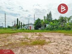 ขายที่ดิน เนื้อที่ 2 ไร่ 1 งาน 66 ตร.วา ธวัชบุรี ร้อยเอ็ด-202510031647401759484860141.jpg