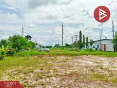 ขายที่ดิน เนื้อที่ 2 ไร่ 1 งาน 66 ตร.วา ธวัชบุรี ร้อยเอ็ด-202510031647401759484860666.jpg