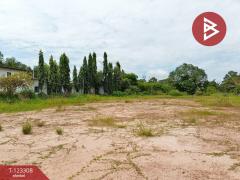 ขายที่ดิน เนื้อที่ 2 ไร่ 1 งาน 66 ตร.วา ธวัชบุรี ร้อยเอ็ด-202510031647411759484861186.jpg