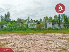 ขายที่ดิน เนื้อที่ 2 ไร่ 1 งาน 66 ตร.วา ธวัชบุรี ร้อยเอ็ด-202510031647411759484861703.jpg