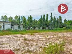 ขายที่ดิน เนื้อที่ 2 ไร่ 1 งาน 66 ตร.วา ธวัชบุรี ร้อยเอ็ด-202510031647421759484862639.jpg