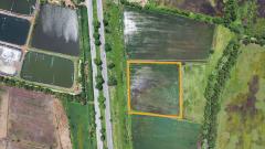 ขาย ที่ดินถนนฉะเชิงเทรา-กบินทร์บุรี ติดถนนทางหลวงแผ่นดินหมายเลข 304 ใกล้สี่แยกบางกล้า ใกล้สี่แยกพนมสารคาม