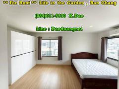 #Life in the garden, Ban Chang *** House for Rent ***-202510041145391759553139366.jpg
