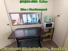 #Life in the garden, Ban Chang *** House for Rent ***-202510041145431759553143196.jpg