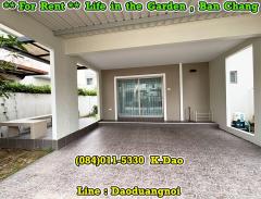 #Life in the garden, Ban Chang *** House for Rent ***-202510041145441759553144641.jpg