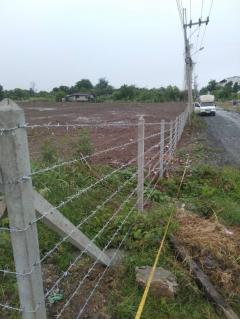 ขายที่ดินถมแล้ว ทำเลดีติดถนนใหญ่ บางกรวย-ไทรน้อย  ขนาด 5 ไร่ เหมาะทำธุรกิจ-ลงทุนโครงการ-202510041154241759553664438.jpg