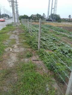 ขายที่ดินถมแล้ว ทำเลดีติดถนนใหญ่ บางกรวย-ไทรน้อย  ขนาด 5 ไร่ เหมาะทำธุรกิจ-ลงทุนโครงการ-202510041154241759553664967.jpg