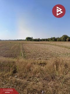 ขายที่ดิน เนื้อที่ 4 ไร่ 1 ตร.วา แม่ทะ ลำปาง-202510041225081759555508666.jpg