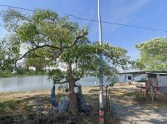 ขายที่ดินเปล่า ติดถนนซอยสุนทรวิภาค ใกล้ถนนเทพารักษ์ สมุทรปราการ เหมาะทำธุรกิจ 17 ไร่ 3 งาน 36 ตร.ว-202510041503591759565039350.jpg