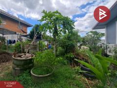 ขายบ้านเดี่ยวพร้อมที่ดิน เนื้อที่ 1 งาน คลองหลวง ปทุมธานี-202510041635281759570528984.jpg