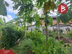 ขายบ้านเดี่ยวพร้อมที่ดิน เนื้อที่ 1 งาน คลองหลวง ปทุมธานี-202510041635291759570529500.jpg