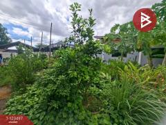 ขายบ้านเดี่ยวพร้อมที่ดิน เนื้อที่ 1 งาน คลองหลวง ปทุมธานี-202510041635301759570530019.jpg