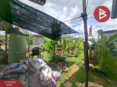 ขายบ้านเดี่ยวพร้อมที่ดิน เนื้อที่ 1 งาน คลองหลวง ปทุมธานี-202510041635321759570532662.jpg