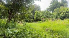 ขายที่ดิน ใกล้โรงเรียนปรินส์ฯ ต.ฟ้าฮ่าม จ.เชียงใหม่-202510041655301759571730763.jpg