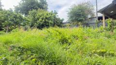 ขายที่ดิน ใกล้โรงเรียนปรินส์ฯ ต.ฟ้าฮ่าม จ.เชียงใหม่-202510041655311759571731237.jpg