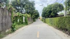 ขายที่ดิน ใกล้โรงเรียนปรินส์ฯ ต.ฟ้าฮ่าม จ.เชียงใหม่-202510041655331759571733584.jpg