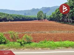 ขายที่ดิน เนื้อที่ 16 ไร่ 1 งาน 91 ตร.วา ไทรโยค กาญจนบุรี-202510051324311759645471263.jpg