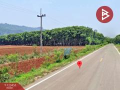 ขายที่ดิน เนื้อที่ 16 ไร่ 1 งาน 91 ตร.วา ไทรโยค กาญจนบุรี-202510051324311759645471797.jpg