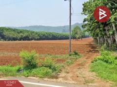 ขายที่ดิน เนื้อที่ 16 ไร่ 1 งาน 91 ตร.วา ไทรโยค กาญจนบุรี-202510051324321759645472330.jpg