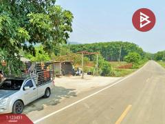 ขายที่ดิน เนื้อที่ 16 ไร่ 1 งาน 91 ตร.วา ไทรโยค กาญจนบุรี-202510051324321759645472864.jpg