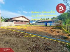 ขายที่ดิน-เนื้อที่-90.6-ตร.วา-ท่าช้าง-จั