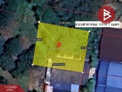 ขายที่ดิน เนื้อที่ 90.6 ตร.วา ท่าช้าง จันทบุรี-202510051347071759646827550.jpg