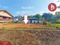 ขายที่ดิน เนื้อที่ 90.6 ตร.วา ท่าช้าง จันทบุรี-202510051347101759646830132.jpg