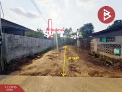 ขายที่ดิน เนื้อที่ 90.6 ตร.วา ท่าช้าง จันทบุรี-202510051347101759646830651.jpg