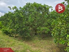 ขายที่ดิน เนื้อที่ 9 ไร่ 1 งาน 75.3 ตร.วา ดงกลาง พิจิตร