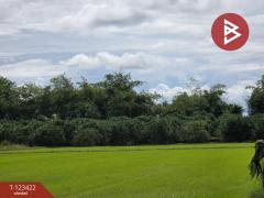 ขายที่ดิน เนื้อที่ 9 ไร่ 1 งาน 75.3 ตร.วา ดงกลาง พิจิตร-202510051648591759657739347.jpg