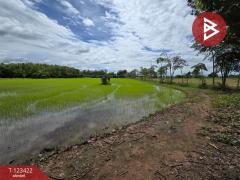 ขายที่ดิน เนื้อที่ 9 ไร่ 1 งาน 75.3 ตร.วา ดงกลาง พิจิตร-202510051648591759657739865.jpg