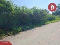 ขายที่ดิน-เนื้อที่-1-งาน-53-ตร.วา-พานทอง