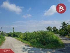 ขายที่ดิน เนื้อที่ 1 งาน 53 ตร.วา พานทอง ชลบุรี-202510051653301759658010010.jpg