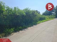 ขายที่ดิน เนื้อที่ 1 งาน 53 ตร.วา พานทอง ชลบุรี-202510051653301759658010529.jpg